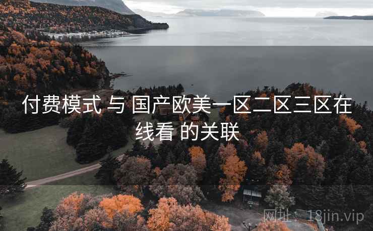 付费模式 与 国产欧美一区二区三区在线看 的关联