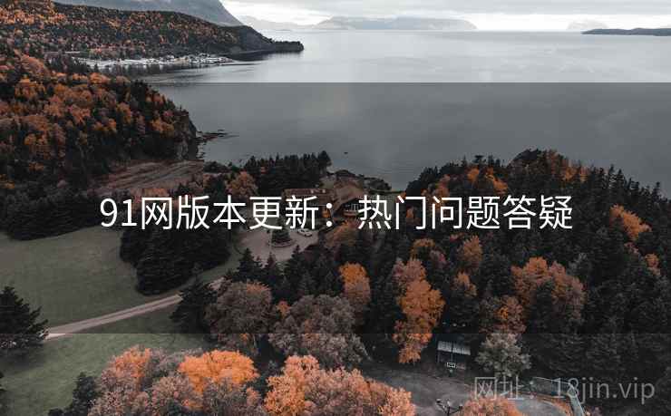 91网版本更新：热门问题答疑