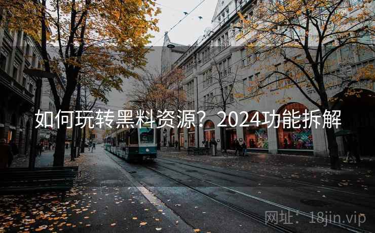 如何玩转黑料资源？2024功能拆解