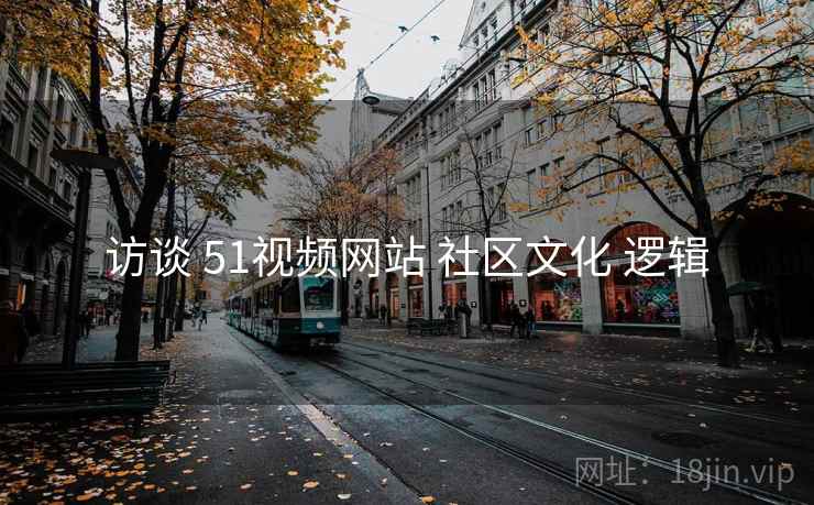 访谈 51视频网站 社区文化 逻辑