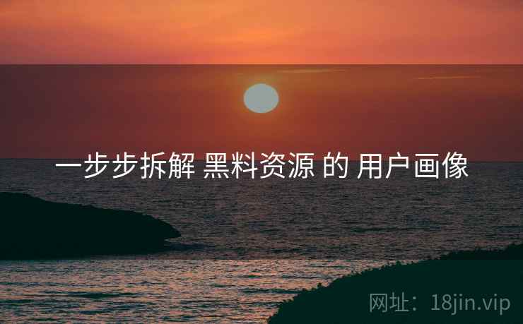 一步步拆解 黑料资源 的 用户画像