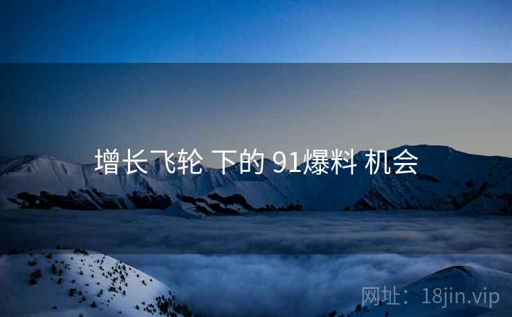 增长飞轮 下的 91爆料 机会