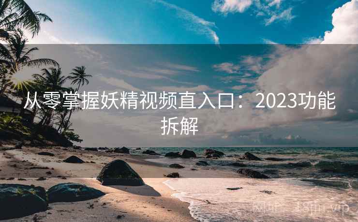从零掌握妖精视频直入口：2023功能拆解