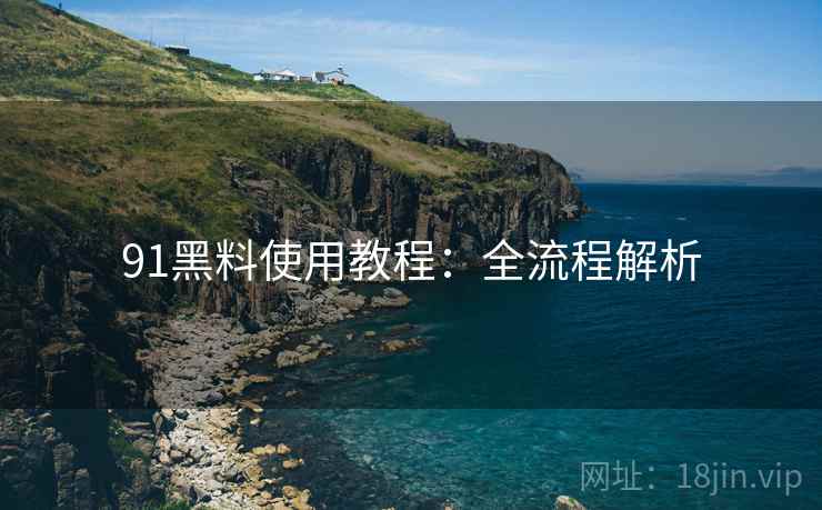 91黑料使用教程：全流程解析