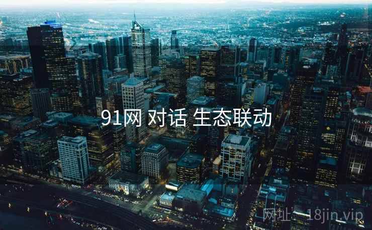 91网 对话 生态联动
