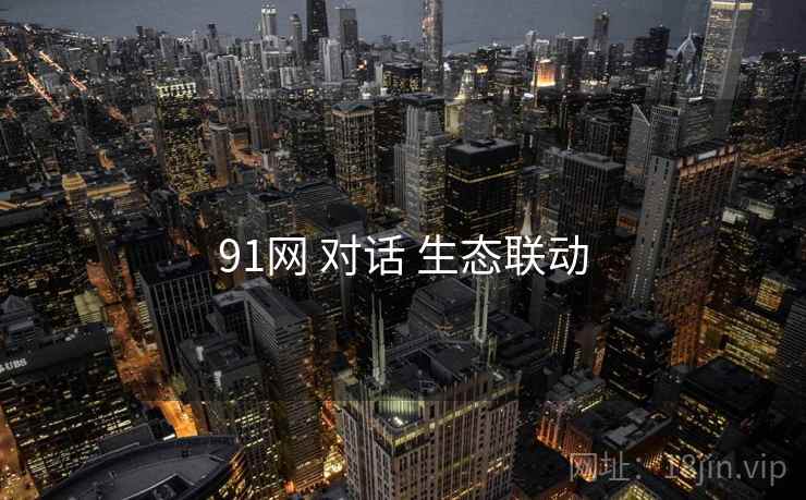91网 对话 生态联动