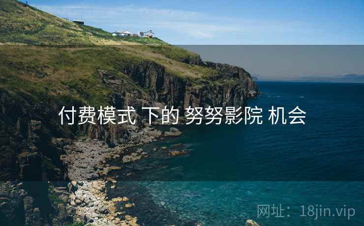 付费模式 下的 努努影院 机会