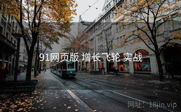 91网页版 增长飞轮 实战