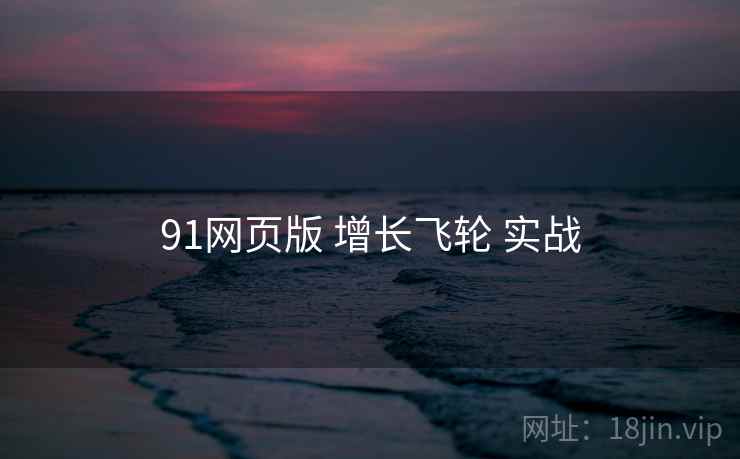 91网页版 增长飞轮 实战