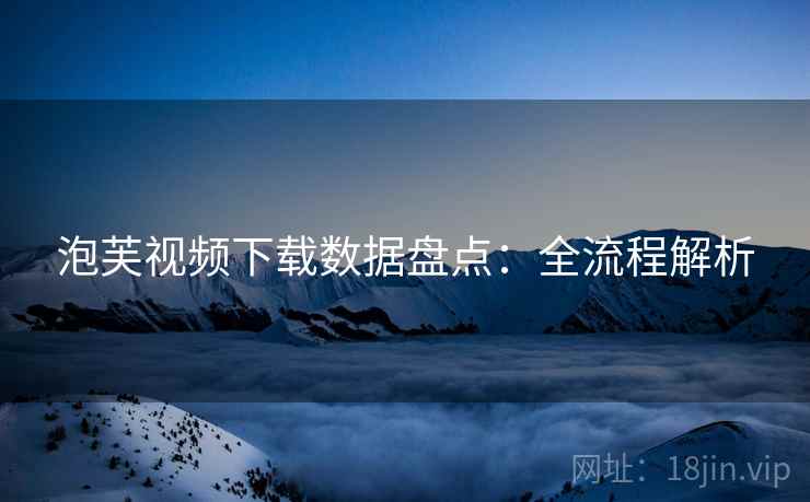 泡芙视频下载数据盘点：全流程解析