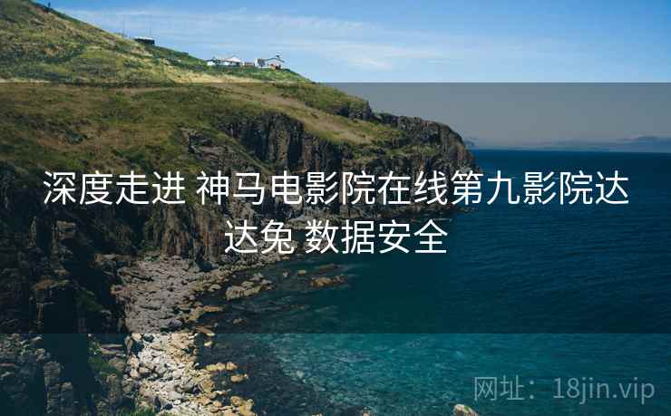 深度走进 神马电影院在线第九影院达达兔 数据安全