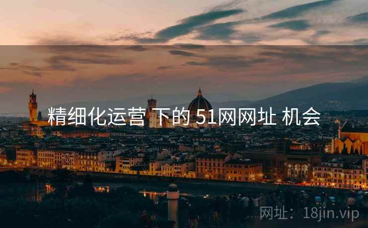 精细化运营 下的 51网网址 机会
