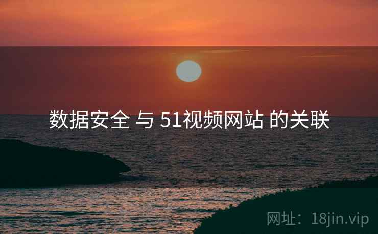 数据安全 与 51视频网站 的关联