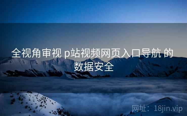 全视角审视 p站视频网页入口导航 的 数据安全