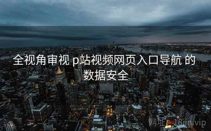 全视角审视 p站视频网页入口导航 的 数据安全