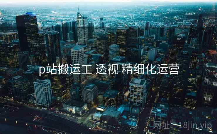 p站搬运工 透视 精细化运营