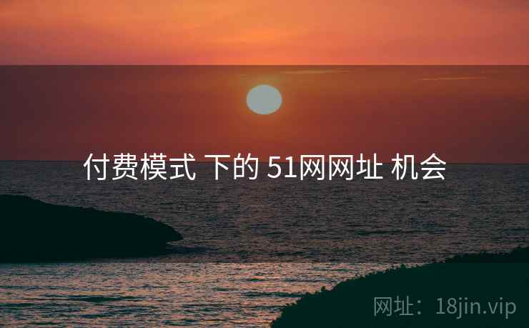 付费模式 下的 51网网址 机会